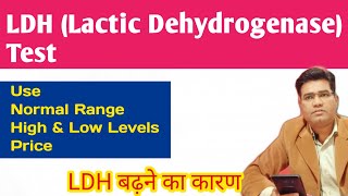 Whai is LDH Test in Hindi  Lactic Dehydrogenase Test Normal Range [upl. by Llerrud]