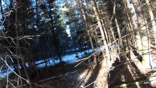 Grouse Hunting Western Maine [upl. by Early]