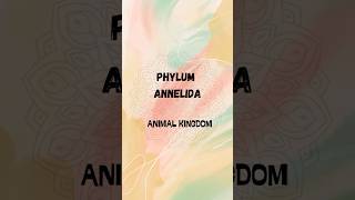 Phylum quotANNELIDAquot 🌟 Animal kingdom  Biology biology class11 neet trending [upl. by Aveneg]