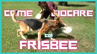 INSEGNARE al cane i COMANDI base del DISC DOG [upl. by Sama]