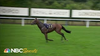 Royal Ascot 2019 Horse throws jockey runs riderless  NBC Sports [upl. by Monjan]