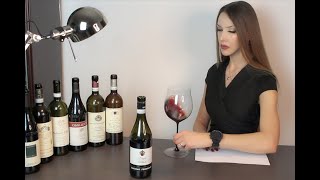 Wine Tasting Langhe Nebbiolo 2019  Fenocchio [upl. by Erdei]