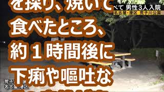 名古屋 公園でバーベキュー中の男性が 園内の毒キノコを焼いて食べて 3人入院 [upl. by Lasonde]