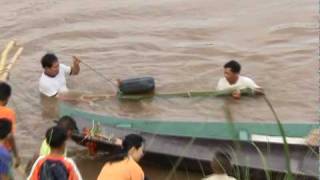 The Mekong giant catfish the mother of giants [upl. by Quinlan785]