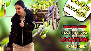 Lost Ark  East Luterra All Mokoko Seeds Explained [upl. by Sena751]