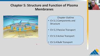 BIOL201 Ch51  Components and Structure Plasma Membrane  OpenStax Biology [upl. by Allesor]