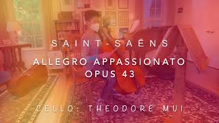 Saint Saëns Allegro Appassionato Op 43 for Cello [upl. by Beauregard]