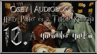 Harry Potter és a Titkok Kamrája hangoskönyv  10 fejezet [upl. by Ytsur]