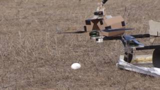 U of T Engineering drone retrieves goose egg [upl. by Malo561]