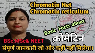 Chromatin Structure Euchromatin Heterochromatin amp Functionsक्रोमेटिन की जानकारी।NEETBScMScSTD [upl. by Yliab855]