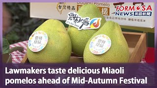 Lawmakers taste delicious Miaoli pomelos ahead of MidAutumn Festival｜Taiwan News [upl. by Eislehc]