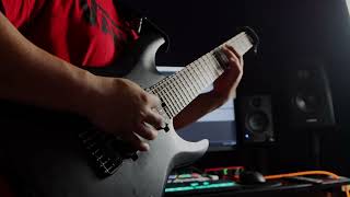 SCHECTER KM2 MII [upl. by Erminia]