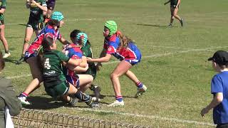 HIGHLIGHTS   U14 Girls Tackle  Preliminary FINAL  Gerringong V Stingrays  17th August 2024 [upl. by Ahsilla]