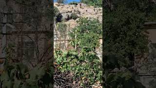 Kapadokya Cappadocia Gizemli Evler Kaysı bol [upl. by Lhamaj740]