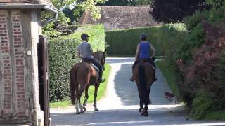 Normandie Film dentreprise AirFilmStudio Haras du Plessis [upl. by Dole]