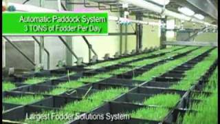 Fodder solutions  feed solutions for horses [upl. by Mita]