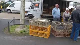 En Bresse  promenade au marché de louhans le18032019 [upl. by Kincaid992]