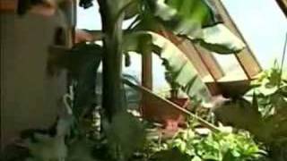 Earthship Biotecture on the Weather Channel [upl. by Domini]