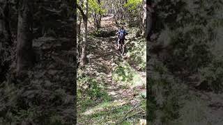 Montesa 260 remapped tricky uphill jump by engine power [upl. by Allehcim]