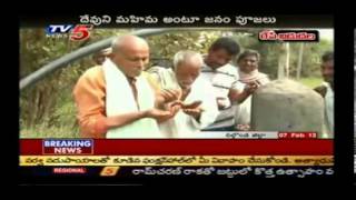 Milk Water In Nalgonda TV5 [upl. by Shani545]