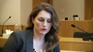 The Family Court without a Lawyer  Video 3 of 3 [upl. by Ekal]