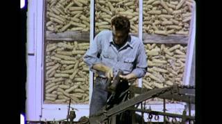 Farm Family American  ca 1953 [upl. by Moffitt433]