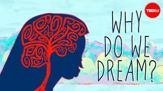 Why do we dream  Amy Adkins [upl. by Egerton]