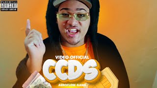 CCDS  AeroFlow Gang Video Official By delaverdefilms [upl. by Yarehs]