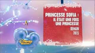 Disney Channel HD France  Christmas Continuity 2012 [upl. by Mensch]