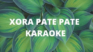 Xora pate pate karaoke l assamese song l karaoke mixofmusic [upl. by Nageek]