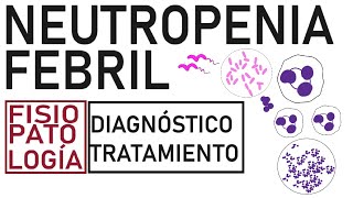 Neutropenia febril  Fisiopatología evaluación y tratamiento [upl. by Thgiwd]