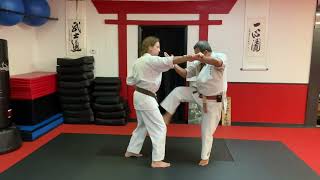 Kusanku Bunkai Check us out on Udemy [upl. by Enram871]