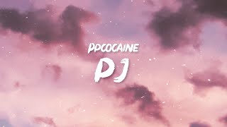 ppcocaine  PJ Lyrics  Bitch did you hear what the fuck I said Shake some ass ho [upl. by Mauldon]