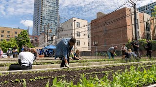 Addressing Mental Health and Community Wellness Through Urban Gardening [upl. by Swenson975]