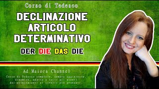 Lezione Tedesco 1  Cosè una declinazione  Declinazione articolo determinativo [upl. by Eelhsa]