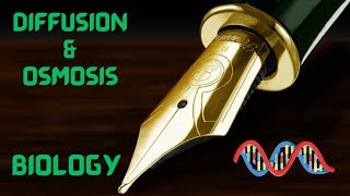 Diffusion and Osmosis GCSE Biology Recorded in Lesson edexcel aqa ocr gcsescience [upl. by Goff]