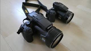 Nikon Coolpix P1000 VS P900 Zoom Test [upl. by Onirefez]