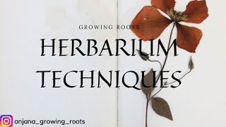 HERBARIUM TECHNIQUES amp PREPARATION  Malayalam Explanation  BSc Botany Zoology Plant Science [upl. by Naujled985]