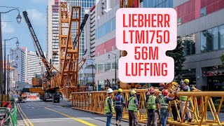 LIEBHERR LTM1750  91 with 56m Luffing Jib Setup  Part Two [upl. by Garges]