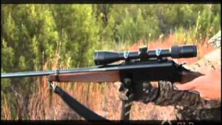 Browning BLR Rifle Overview 2008 [upl. by Nimref]