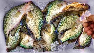 A SIMPLE Way To Catch LOADS Of Crappie From The Bank [upl. by Dosh]