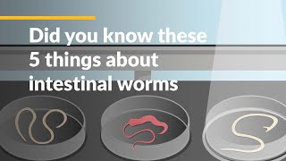 Did you know these 5 things about intestinal worms [upl. by Rojas]