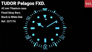 TUDOR Pelagos FXD 42mm Titanium Case Fixed Strap Bars Black amp White Dial Ref 25717N [upl. by Haidedej944]