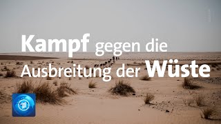 Grüne Mauer Afrikas Kampf gegen die Ausbreitung der Sahara [upl. by Gertie669]