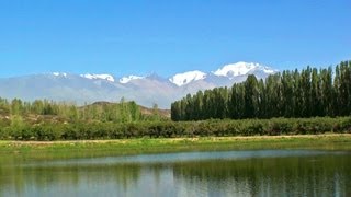 MENDOZA  Argentina turismo bodegas y viñedos Ruta del vino en Mendoza enoturismo visitar caminos [upl. by Bacchus]