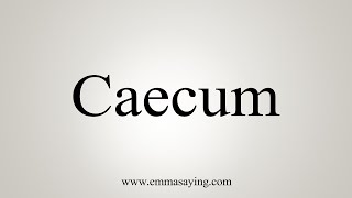 How To Say Caecum [upl. by Oznerol]