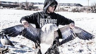 CANADA GOOSE Catch Clean Cook [upl. by Ayatnohs]