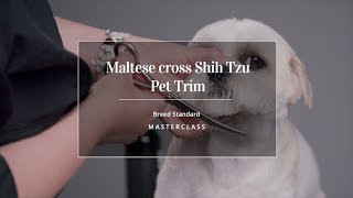 Pet Trim  Maltese Cross Shih Tzu Masterclass Trailer [upl. by Ernst]