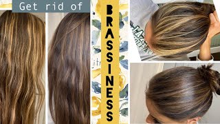 TONING your hair at home  STEP by STEP how to get rid of BRASSINESS in Highlights [upl. by Jewel]