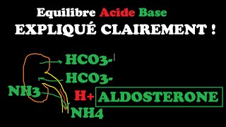 🔴 EQUILIBRE ACIDEBASE EXPLIQUÉ TRÈS CLAIREMENT   DR ASTUCE [upl. by Nilpik]